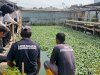 Agroedupark Lapas Pangkalpinang Kembangkan Budidaya Nila Produktif