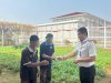 Budidaya Kangkung Lapas Tangerang Jadi Jalan Menuju Kemandirian