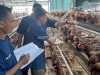 Tiga Bulan Berjalan, Peternakan Lapas Kelas I Cipinang Hasilkan Lebih dari 16.700 Telur