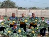 Lapas Tanjung Panen 30 Kilogram Kembang Kol dari Program Pembinaan Kemandirian Warga Binaan