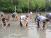 Lapas Wahai Dukung Pelestarian Lingkungan melalui Penanaman Mangrove bersama TNI