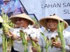 Lapas Surabaya Panen 400 Kilogram Jagung Manis di Lahan SAE