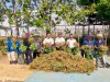 Panen 50 Kg Kacang Tanah, Lapas Banjarbaru Buktikan Pembinaan Produktif