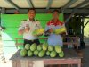 24 Pepaya California Dipanen, Lapas Piru Kembangkan Kebun Kemandirian Bernilai Ekonomi