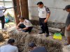 Respon Sanitasi Lingkungan, Lapas Wahai Lakukan Penggalian Septic Tank Mandiri