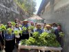 Produktif dan Berkelanjutan, Lapas Bandanaira Kembali Panen Sayuran Hidroponik