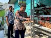 Dari Lahan Idle Jadi Produktif, Lapas Banjarmasin Kembangkan Ayam Petelur dan Panen 88 Kg Kangkung