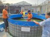 Panen 35 Kg Lele, Lapas Pemuda Madiun Dorong Pembinaan Produktif