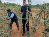 Panen 17 Kg Kacang Panjang, Lapas Batulicin Tambah Deretan Capaian Pertanian Warga Binaan