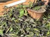 Dari Gulma Jadi Berdaya, Lapas Amuntai Olah Eceng Gondok Sisa Panen Patin Jadi Bokashi