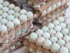 Warga Binaan Perempuan Rutan Pelaihari Asah Kemandirian, Telur Asin Jadi Bekal Produktif