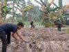 LPKA Palangka Raya Buka Lahan Baru untuk Pengembangan Budidaya Sayuran