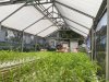 Lahan Produktif Lapas Perempuan Palembang Hasilkan 20 Ikat Kangkung