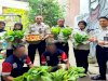 Lapas Wahai Panen Sawi Hidroponik dan Tomat Apel, Ruang Belajar Nyata bagi Peserta Magang