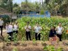 Dari Keterampilan Jadi Hasil, Warga Binaan Lapas Tabanan Panen Jagung