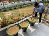 Naik Level, 16 Warga Binaan Lapas Tanjungpandan Kuasai Pengolahan Tahu dan Tempe