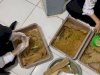 Budidaya Maggot Jadi Upaya Kelola Sampah Organik di Lapas Kotabaru