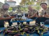 Buah dari Ketekunan, Warga Binaan Lapas Narkotika Karang Intan Panen 10 Kg Terung