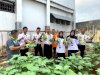 Panen 21 Kg Terung, Lapas Baubau Beri Manfaat bagi Warga Binaan dan Negara
