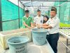 Lapas Luwuk Terapkan Konsep Zero Waste, Panen Perdana Maggot Capai 11 Kg