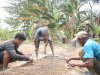 Konsisten Dukung Ketahanan Pangan, Lapas Piru Lakukan Pembibitan Kangkung