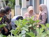 LPKA Ambon Panen 47 Buah Terung, Bekali Anak Binaan Keterampilan Pertanian