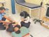 Klinik Lapas Tanjung Respons Keluhan Kesehatan  Warga Binaan melalui Pemeriksaan Medis