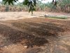 Hadapi Kemarau, Lapas Leok Tetap Produktif Dukung Ketahanan Pangan 