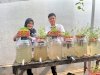 Optimalkan Pemanfaatan Lahan, Lapas Perempuan Pangkalpinang Kembangkan Budi Daya Lele Terpadu