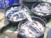 Lapas Surabaya Panen 280 Kilogram Ikan Lele dari Program Pembinaan Kemandirian