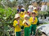 Kenalkan Ketahanan Pangan, Lapas Kembang Kuning Jadi Ruang Belajar Anak PAUD
