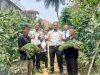 Panen 50 Kg Kacang Panjang, Rutan Unaaha Dukung Pembinaan Kemandirian Warga Binaan