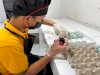 Produksi Telur Asin RuRa, Rutan Rantau Dorong Keterampilan Wirausaha Warga Binaan