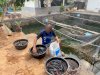 Panen 30 Kg Lele, Lapas Tanjung Bekali Warga Binaan Keterampilan Perikanan