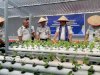 Wujudkan Ketahanan Pangan Berkelanjutan, Rutan Ambon Tebar Benih Lele dan Panen Telur Ayam Kampung