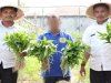 Warga Binaan Lapas Ambon Panen 35 Ikat Kangkung dari Pemanfaatan Lahan Kosong
