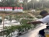 Panen Delapan Kg Cabai, Rutan Majene Perkuat Ketahanan Pangan dan Pembinaan Kemandirian Warga Binaan