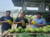 Lapas Piru Panen 20 Kg Pepaya California Hasil Pembinaan Kemandirian Warga Binaan