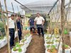 Lapas Dharmasraya Kembangkan Ayam Petelur dan Kebun Melon Dukung Ketahanan Pangan