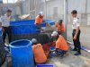 Ketahanan Pangan Berbuah Nyata, Lapas Pemuda Madiun Panen 92 Kg Lele
