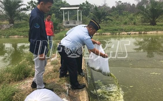 Lapas Sarolangun Dapat Bantuan 600 Kg Pakan & 1.000 Benih Ikan