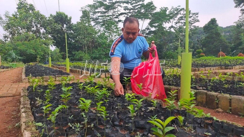 Persiapan Gedung Baru, LPKA Jakarta Dapat 50 Bibit Tanaman