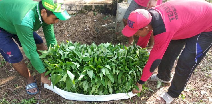 Budidaya Kangkung Ala Lapas Tuban, Baru Panen Langsung Ludes Terjual