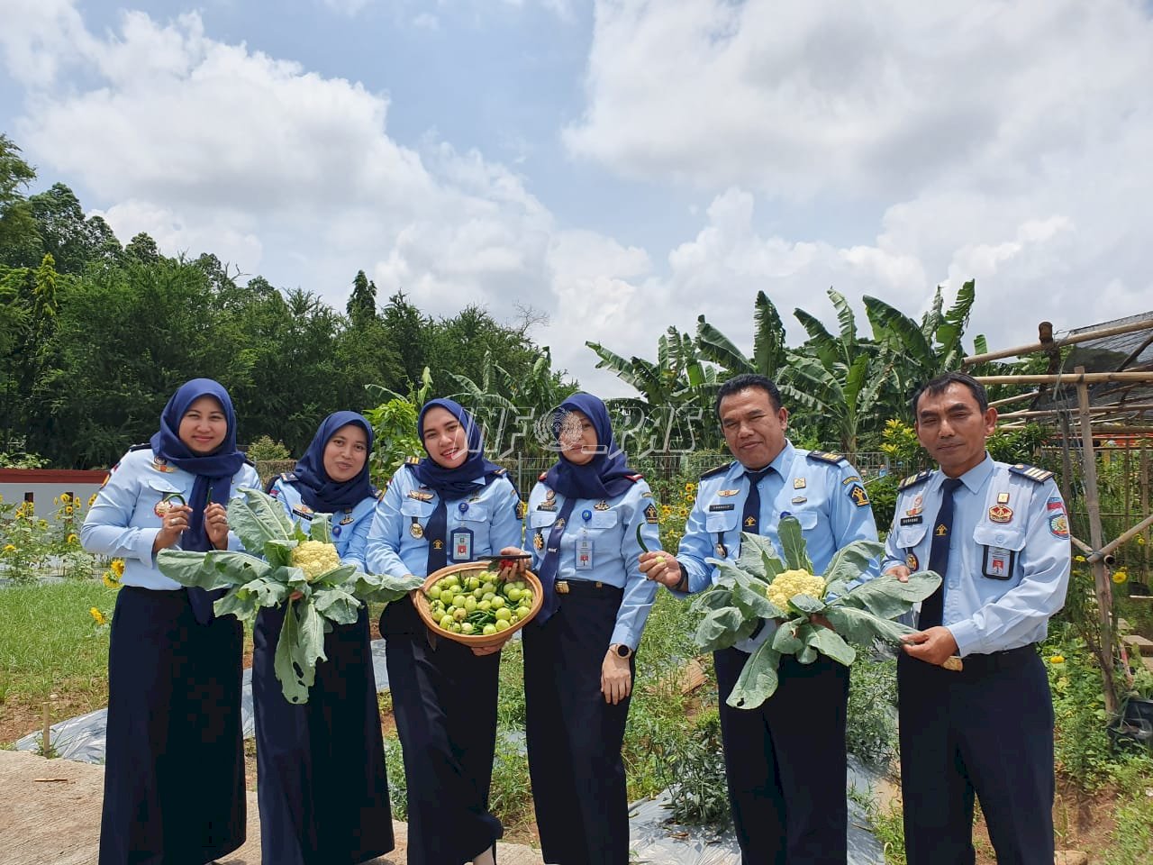 Bapas Tangerang Panen Cabai, Tomat, dan Bunga Kol