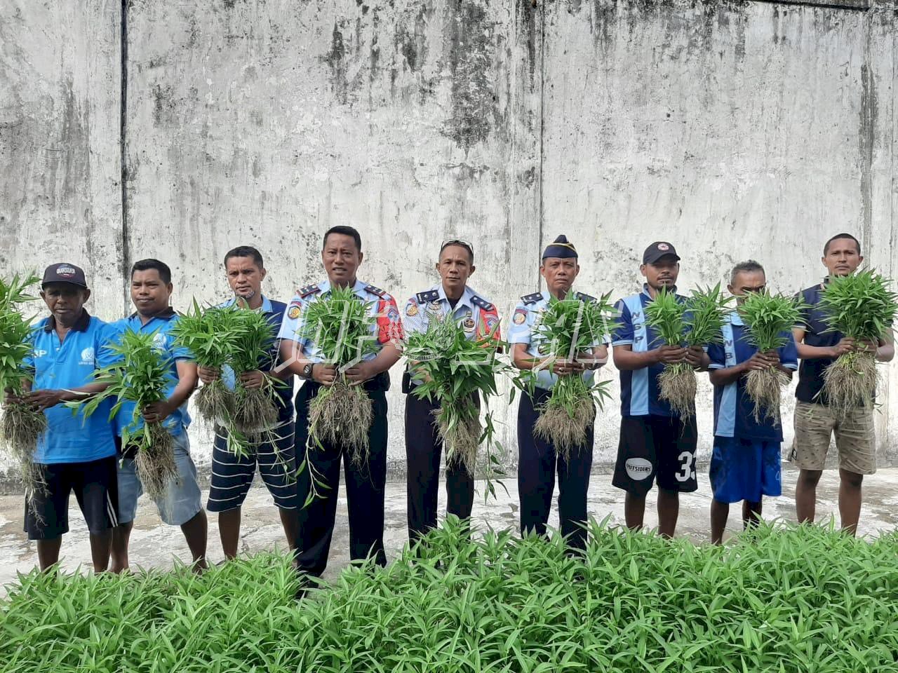 Lapas Ambon Tuai Hasil Kebun Pertama