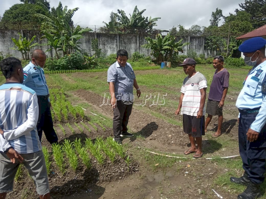 Lapas Ambon Kedatangan Petugas Pengamat Hama Dinas Pertanian Maluku