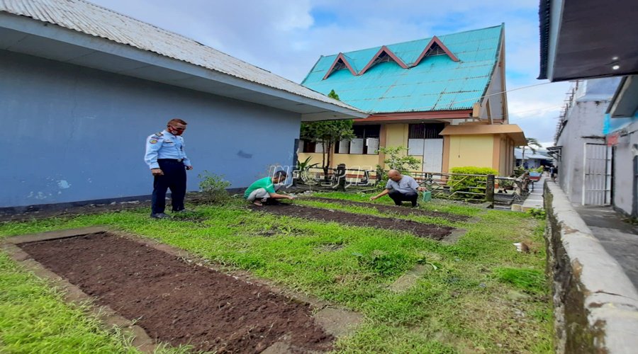 Rutan Ambon Manfaatkan Lahan Kosong Untuk Bercocok Tanam