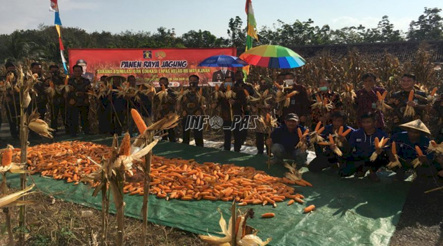 Dukung Ketahanan Pangan Nasional, Lapas Way Kanan Panen Raya Lagi