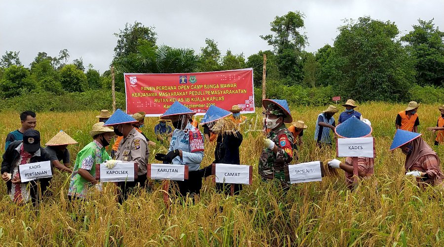 Rutan Kuala Kapuas Panen Perdana Program Resolusi Pemasyarakatan 2020