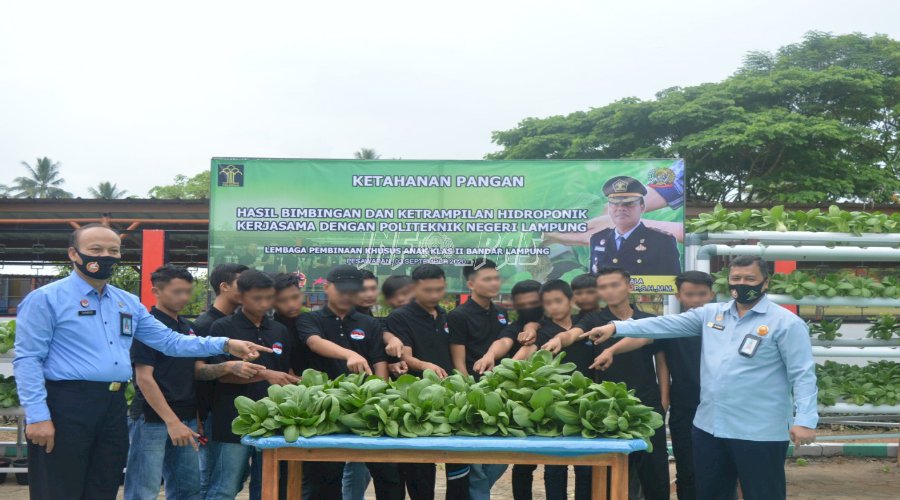 LPKA Bandar Lampung Panen Raya Singkong